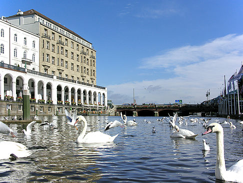 Alster Arkaden Foto 