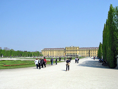 Schlossgarten des Schloss Schönbrunn Foto 